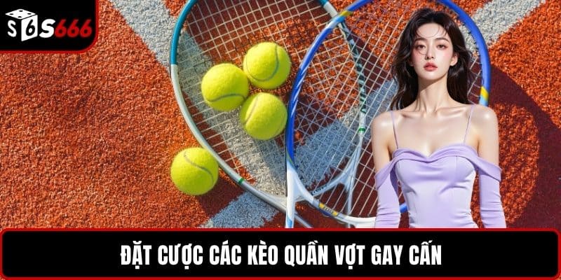 Đặt cược các kèo quần vợt gay cấn
