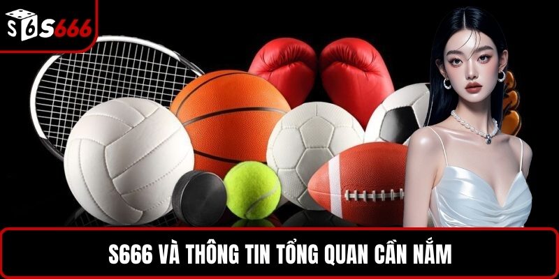 S666 và thông tin tổng quan cần nắm