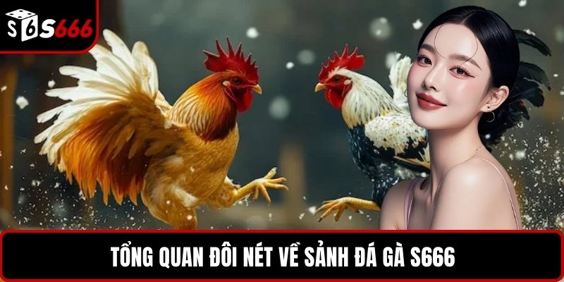 Tổng quan đôi nét về sảnh đá gà S666