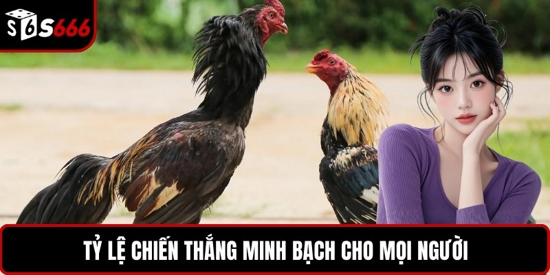 Tỷ lệ chiến thắng minh bạch cho mọi người
